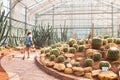 Traveller walking in cactus glasshouse