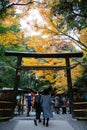 travellers in autumn season at japan