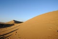 Travellers in the desert