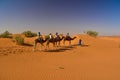 Travellers riding camels in Sahara Desert, Morocco Royalty Free Stock Photo