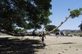 Travelling around the vilages near Asmara and Massawa.