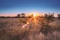 Travelling through a dry bushveld landscape covered in mopani and acacia trees at sunset, Kruger National Park Royalty Free Stock Photo
