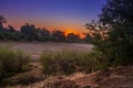 Travelling through a dry river bed landscape covered in acacia trees at sunset, Kruger National Park, Royalty Free Stock Photo