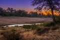 Travelling through a dry river bed landscape covered in acacia trees at sunset, Kruger National Park, Royalty Free Stock Photo