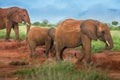 Travelling Kenya and Tanzania Safari tour in Africa Elephants group in the savanna excursion