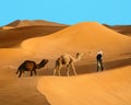 Travelling in Sahara desert