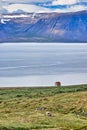 Travelling in the westfjords. Iceland