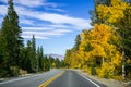 Travelling on a winding road lined up with colorful aspen trees Royalty Free Stock Photo