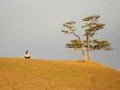 Travelling woman meditating near pine with ribbons, girl sitting in serenity pose.