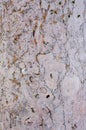 Travertin - Sandstone quality background Royalty Free Stock Photo