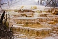 Travertin terraces near Mammoth Hot Springs in Yellowstone national park, US