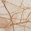 Travertine beige marble texture with thin brown lines and soft stone tone Royalty Free Stock Photo