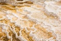 Travertine Pools Formation At Mammoth Hot Springs in Yellowstone National Park