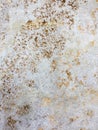 Travertine stone slab texture - sedimentary rock piece Royalty Free Stock Photo