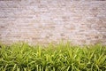 Travertine stone wall and decorative garden Royalty Free Stock Photo