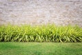 Travertine stone wall and decorative garden Royalty Free Stock Photo