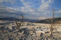 Travertine terrace at Mammoth Hot Springs in Yellowstone National Park, Wyoming,USA Royalty Free Stock Photo