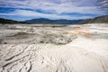 Travertine terraces at Mammoth Hot Springs, Yellowstone National Park, Wyoming Royalty Free Stock Photo