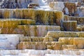 Travertine terraces, Mammoth hot springs, Yellowstone National Park, Wyoming Royalty Free Stock Photo