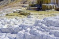 Travertine terraces, Mammoth hot springs, Yellowstone National Park, Wyoming Royalty Free Stock Photo