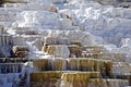 Travertine terraces, Mammoth hot springs, Yellowstone National Park, Wyoming Royalty Free Stock Photo