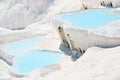 Travertines in Pamukkale, Turkey Royalty Free Stock Photo