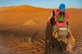 Travesia en camello por el desierto del Sahara. Erg Chebbi. Merzouga. Marruecos