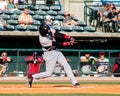 Travis Demeritte, Hickory Crawdads