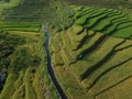 Agricultural land with terracing systems in the village of Trawas