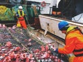 Trawl with redfish