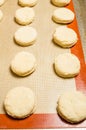 Tray of biscuits ready for the oven