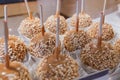 A tray of caramel apples sprinkled with nuts on display Royalty Free Stock Photo