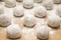 Tray of chocolate dough balls with icing sugar du