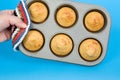 Tray of Corn Muffins Royalty Free Stock Photo