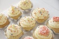 Tray with cupcakes Royalty Free Stock Photo