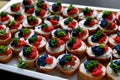 A tray of delicious hors d oeuvres with caviar and salmon on toasted bread Royalty Free Stock Photo