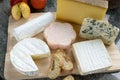 Tray with different French cheeses Royalty Free Stock Photo