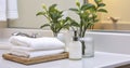 A Tray of Face Towels, Hand Soap, and Potted Plant Adorn a Clean Bathroom Vanity with Mirror and Marble Countertop Royalty Free Stock Photo