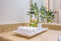 Tray with face towels hand soap and potted plant inside a clean bathroom Royalty Free Stock Photo