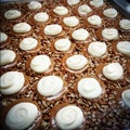 Tray of Pecan Pralines in a Candy Shop. Closeup.