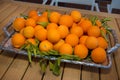 Tray of Florida Oranges Fruit Royalty Free Stock Photo
