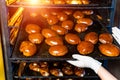 Tray of fresh bread rolls or buns. Hot bakery from the oven. Bakery or bread factory. The bakery production. Royalty Free Stock Photo