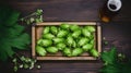 Tray with fresh green hops and wheat ears on wooden table, flat lay Royalty Free Stock Photo