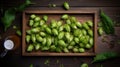 Tray with fresh green hops and wheat ears on wooden table, flat lay Royalty Free Stock Photo