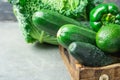 Tray with Fresh Organic Green Vegetables Savoy Cabbage Zucchini Cucumbers Bell Peppers Avocados on Black Stone Concrete Table Royalty Free Stock Photo