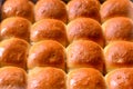 Tray of freshly baked buns Royalty Free Stock Photo