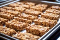 a tray of freshly made granola bars, ready for packaging