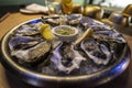 Fresh shucked oysters at a resaurant