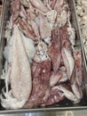 a tray full of loligo forbesii squid.