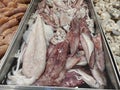 a tray full of loligo forbesii squid.